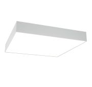 Потолочный светильник Technical C067CL-L48W3K