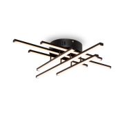 Потолочный светильник Freya FR6024CL-L42B