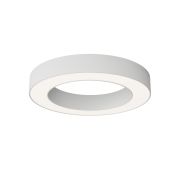 Потолочный светильник Technical C093CL-36W4K-W