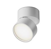 Потолочный светильник Technical C024CL-L12W4K