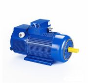 Электродвигатель крановый 4МТH 200 LB6 IM1003 (на лапах)