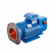 Электродвигатель 4МТМ 225 L8 IM2003 (фланцевый)