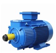 Электродвигатель 5MTKH 225 М6 IM1003