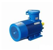 Электродвигатель 4ВР 200 L6 30/1000 взрывозащищенный