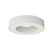 Потолочный светильник Technical C093CL-24W3K-W