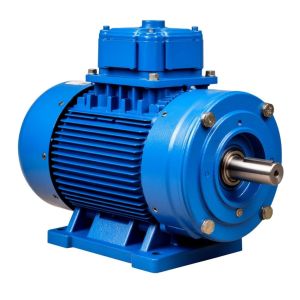 Электродвигатель 5АИ 71А4 0,55/1500 на лапах