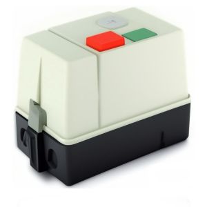 Пускатель ПМЛ 4220 220В