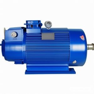 Электродвигатель МТКF 311-6 11/1000 IM1001 (на лапах)